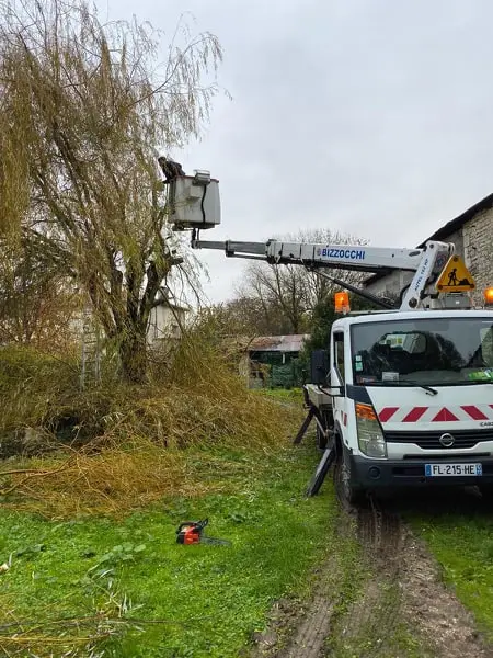 Camion nacelle lors d'une taille de saules près de Royan