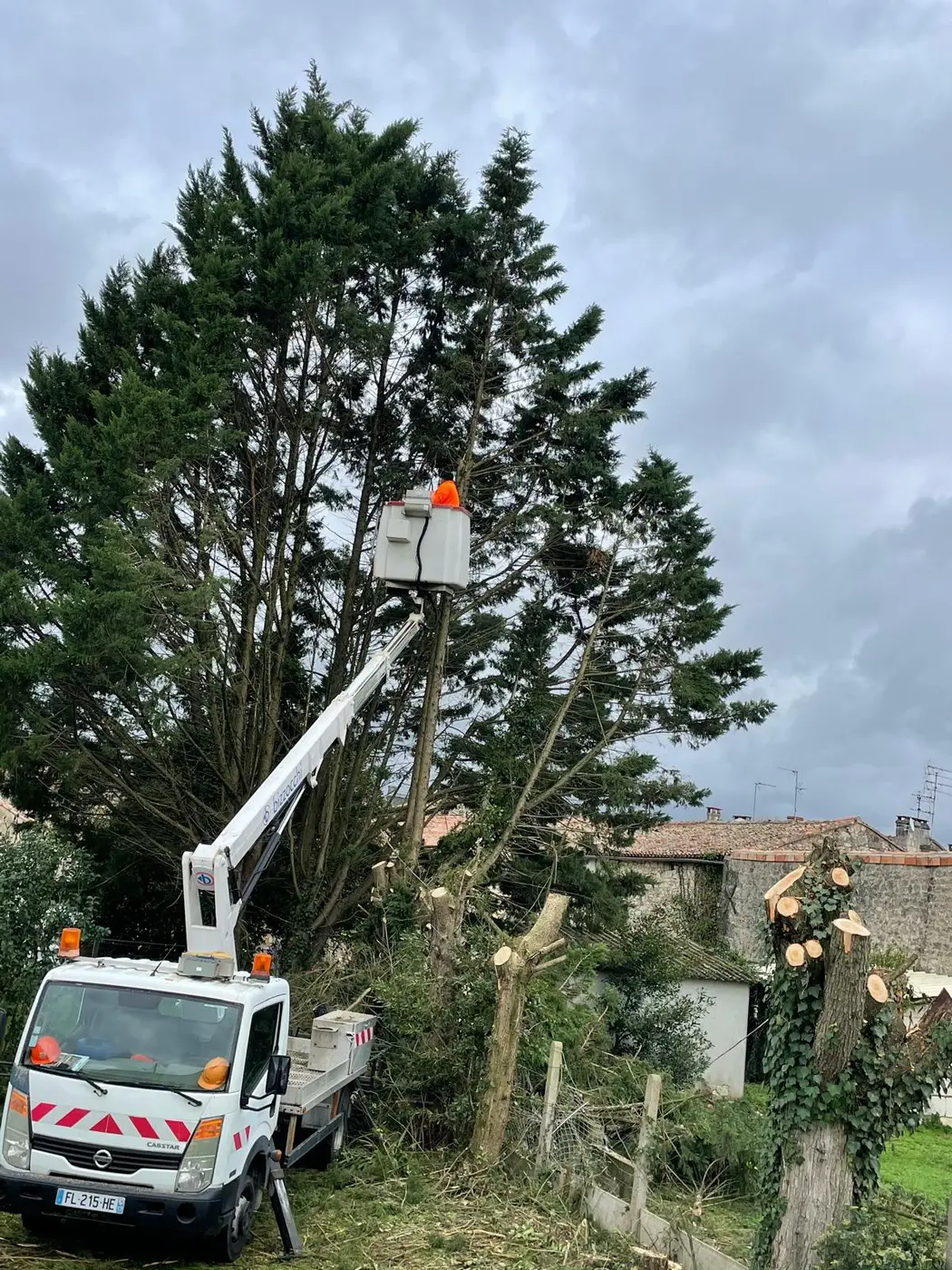Élagage de grande hauteur en nacelle en Charente-Maritime