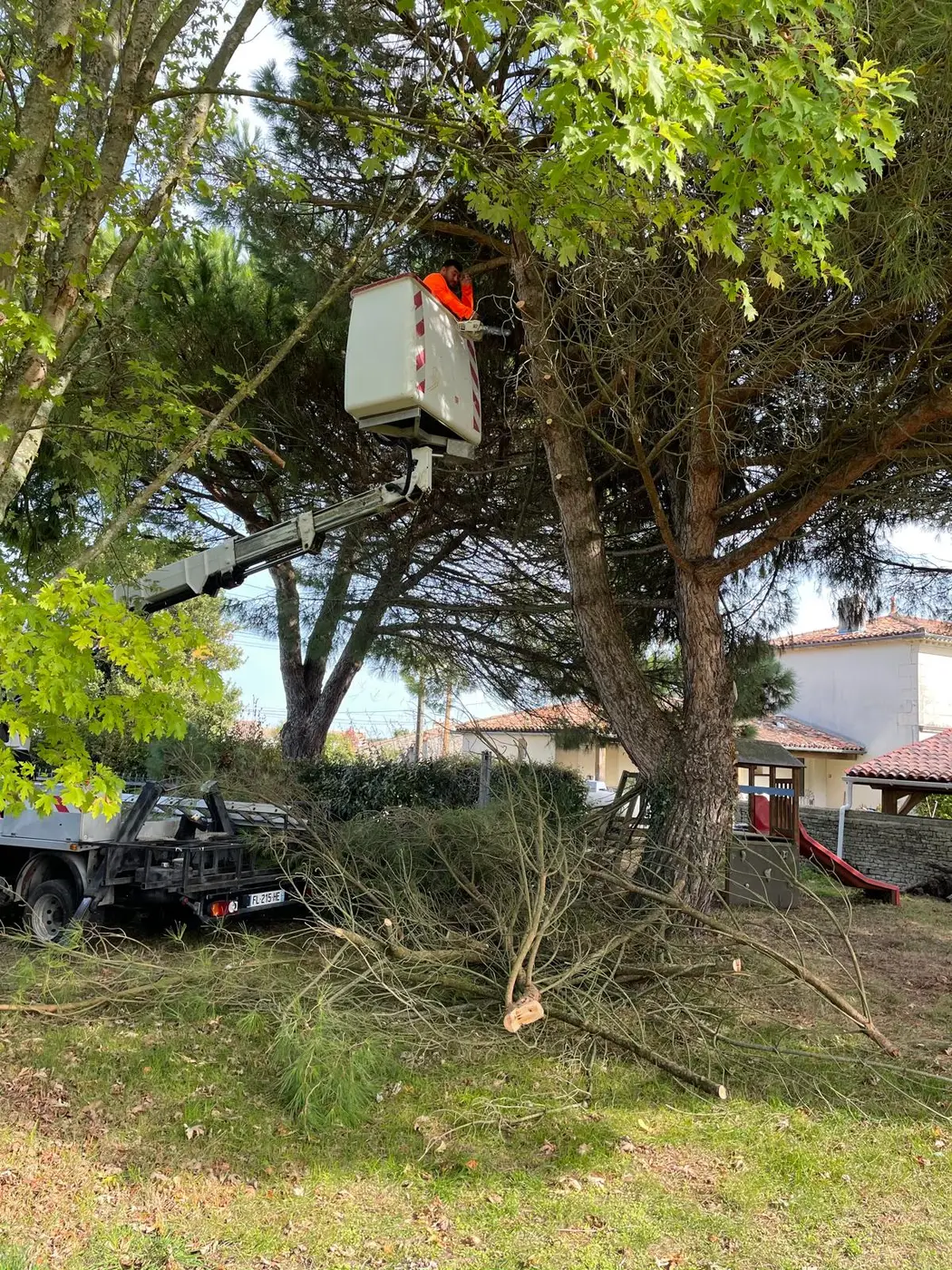 Élagage d'un pin en nacelle par Elagueur Charentais à Royan