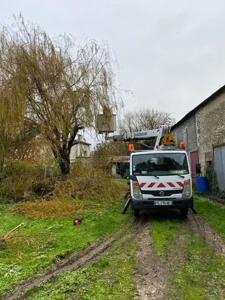Taille de haies et de saules en Charente-Maritime